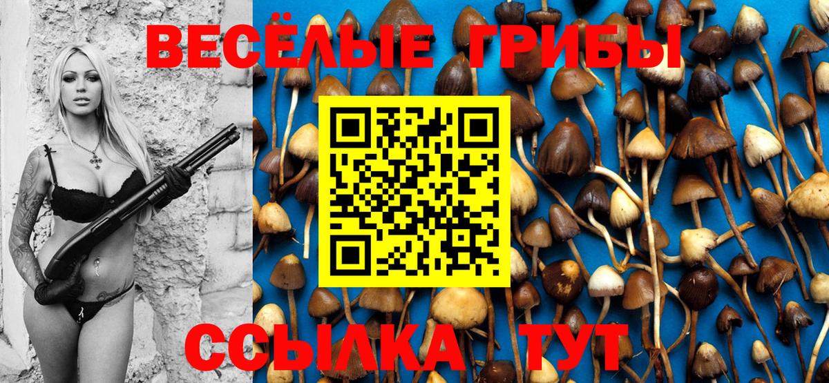 Псилоцибиновые грибы MAGIC MUSHROOMS  Псилоцибиновые грибы GOLDEN TEACHER  Алапаевск  Вход с VPN 